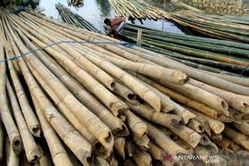 bambu pengganti kayu